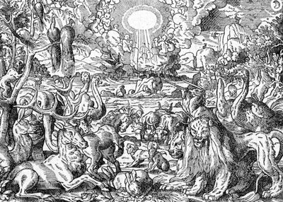  by Matthaus the Elder Merian