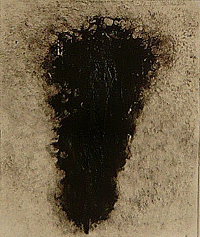 ossie, 2009 (helioprint) by Matthew Hilton