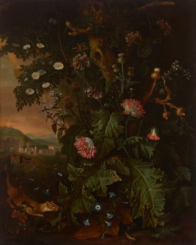  by Matthias Withoos