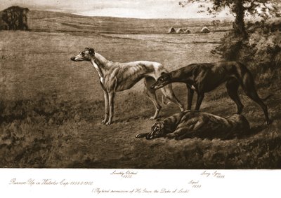 Leeds Dükü, 1911. by Maud Earl