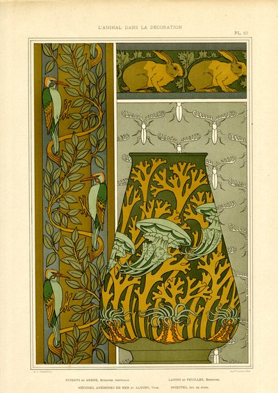 Art Nouveau Doğa Motifleri: Kuşlar, Deniz Yaşamı ve Böcekler (lito) by Maurice Pillard Verneuil