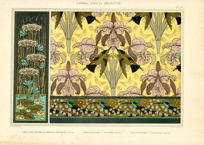 Yusufçuklar, orkideler ve sinek kuşları ile Art Nouveau desen tasarımları (taş baskı) by Maurice Pillard Verneuil