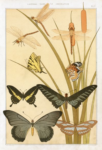 Maurice Pillard Verneuil