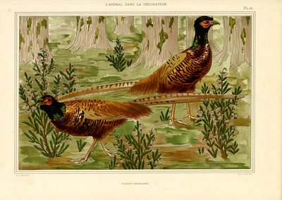 Ormanda Doğal Sülün Çifti (taş baskı) by Maurice Pillard Verneuil