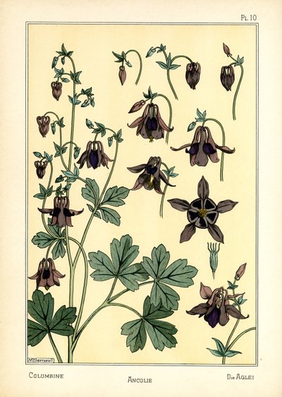 Columbine (renkli taş) by Maurice Pillard Verneuil