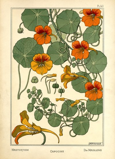Nasturtium (renkli taş) by Maurice Pillard Verneuil
