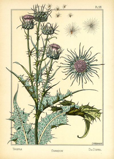 Thistle (renkli taş) by Maurice Pillard Verneuil
