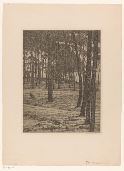 Dennenbosch I (nesne üzerindeki orijinal başlık) Bos (orijinal başlık) by Maurits van der Valk (signed by artist)