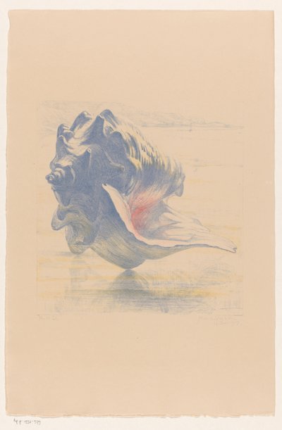 Kabuk by Maurits van der Valk (signed by artist)