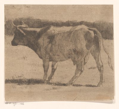 Bir çayırda inek by Maurits van der Valk