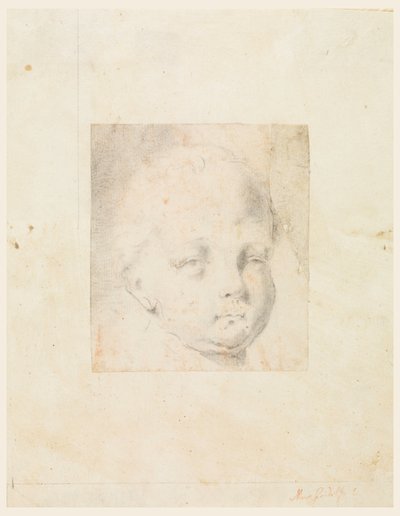 Çizim, Çalışma: Erkek çocuk başı, 1810-34 by Mauro Gandolfi