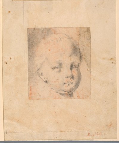 Çizim, Çalışma: Erkek çocuk başı, 1810-34 by Mauro Gandolfi