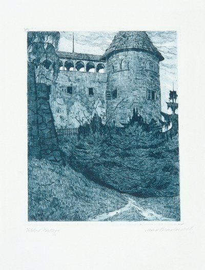Schloss Hallegg by Max Bradaczek