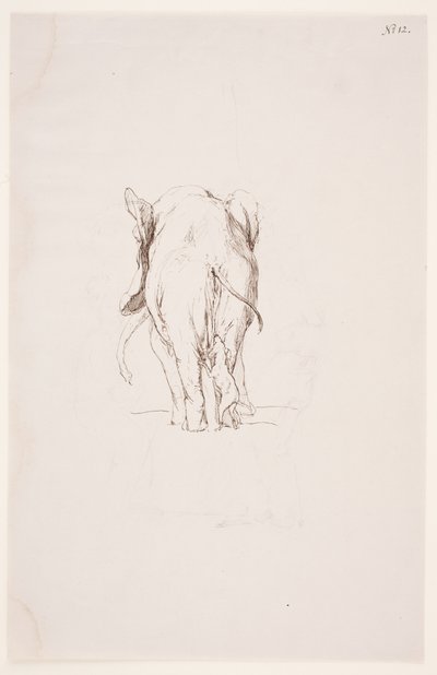 "Weg der Befleckung" - "Fil ve koklayan köpek" by Max Klinger