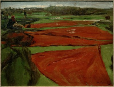 Yayılmış ağları ve yelkenleri olan çayır by Max Liebermann
