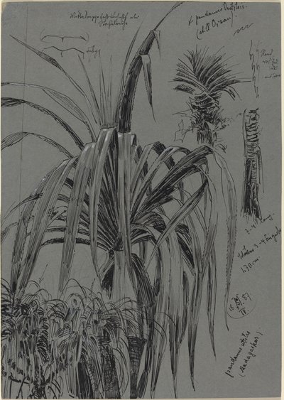 Madagaskar