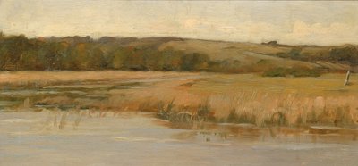 Hill ve Marshland, 19. yüzyılın sonları ve 20. yüzyılın başlarında. by Max Weyl