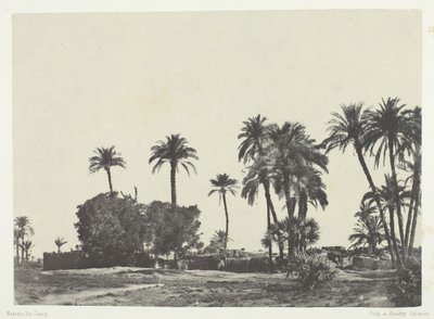 Hamameh Köyü, Yukarı Mısır, 184951, basılmış 1852. by Maxime Du Camp