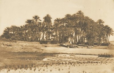 Aswan