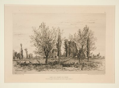 Dans les champs de C?non (C?non Tarlalarında) by Maxime Lalanne