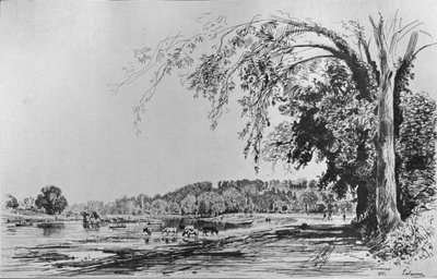 Thames Nehri