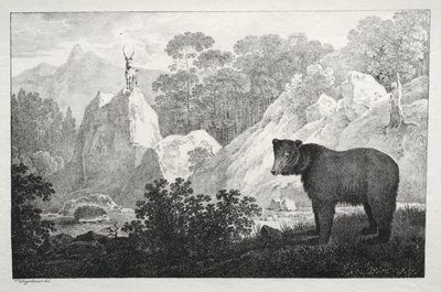 Ayı Ön Planda Dağlık Manzara by Maximilian Josef Wagenbauer