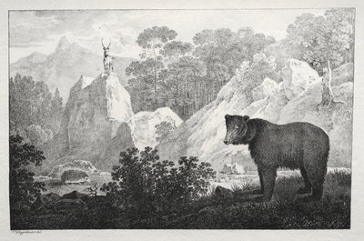 Ayı Ön Planda Dağlık Manzara. by Maximilian Josef Wagenbauer