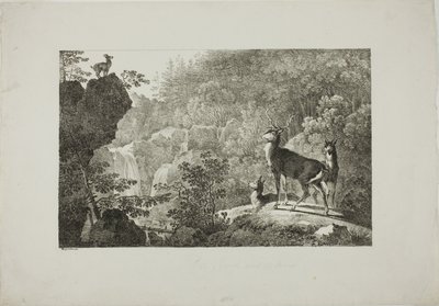 Geyik ve Chamois by Maximilian Josef Wagenbauer