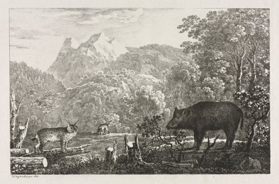Yaban Domuzu, Yaban Kedisi ve Vaşak by Maximilian Josef Wagenbauer