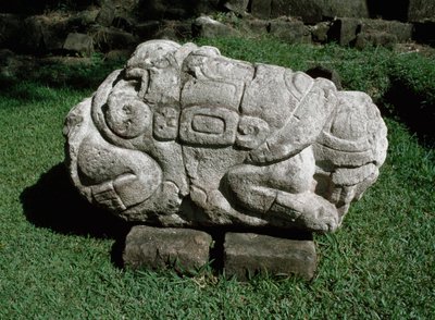 Bir gres bloğuna oyulmuş zoomorfik sunak by Mayan