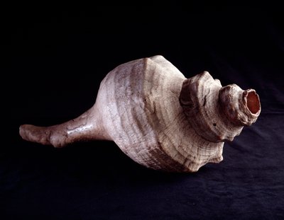 Kolomb öncesi sanat, Maya uygarlığı, klasik dönem: müzik aleti (trompet) olarak kullanılan deniz kabuğu. Uaxactun, Guatemala