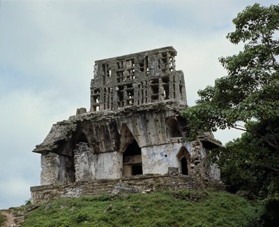 Çapraz Yaprak Tapınağı by Mayan Mayan