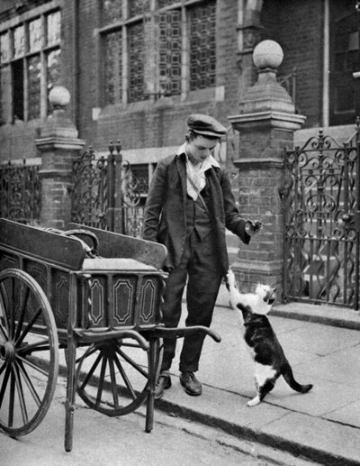 Kedi eti adam, Londra, 1926-1927 by McLeish