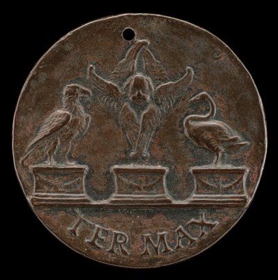 Kerub, Kuğu ve Kartal [ters], c. 1513. by Mea