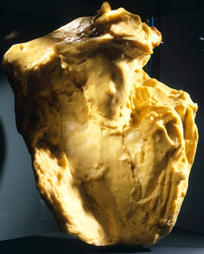 Bahisçi, Medardo Rosso (1858-1928) tarafından. by Medardo Rosso