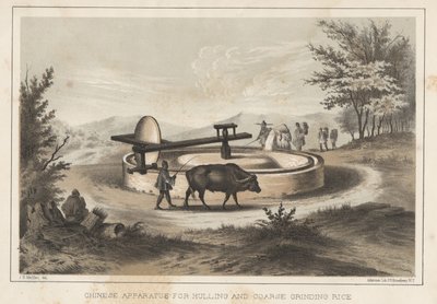 Pirinç Soyma ve Kaba Öğütme için Çin Aparatı, 1855 by Meffert
