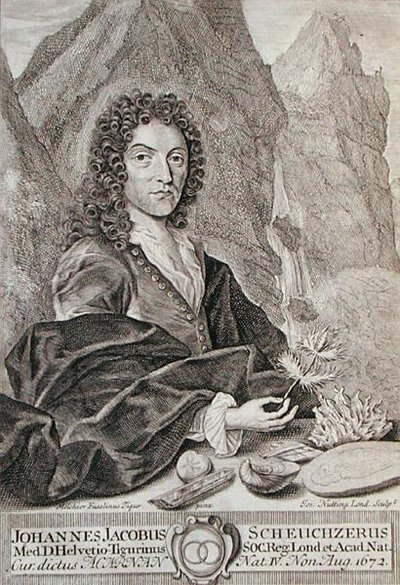 Johann Jacob Scheuchzeri
