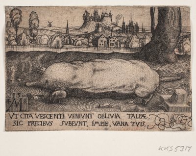 Köstebek by Melchior Lorck