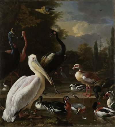 Bir Pelikan ve Havuzun Yanındaki Diğer Kuşlar, "Yüzen Tüy" Olarak Bilinir, 1680 dolayları by Melchior de Hondecoeter