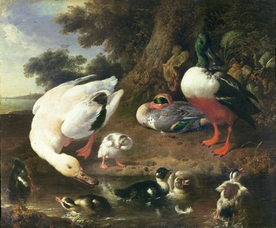 Çiftlik ördekleri by Melchior de Hondecoeter