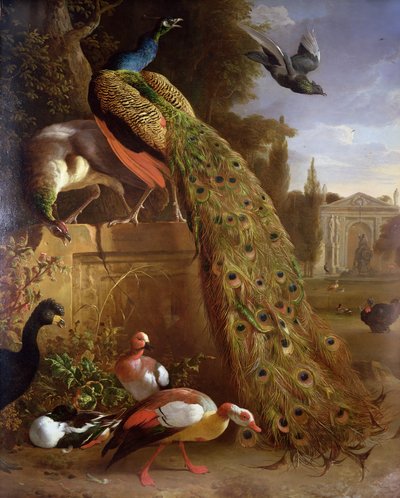 Tavus kuşu ve bir kaide üzerinde bir Peahen, bir parkta ördekler ve diğer kuşlar ile by Melchior de Hondecoeter