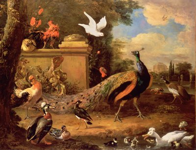 Tavus kuşları ve göl kenarındaki diğer kuşlar by Melchior de Hondecoeter