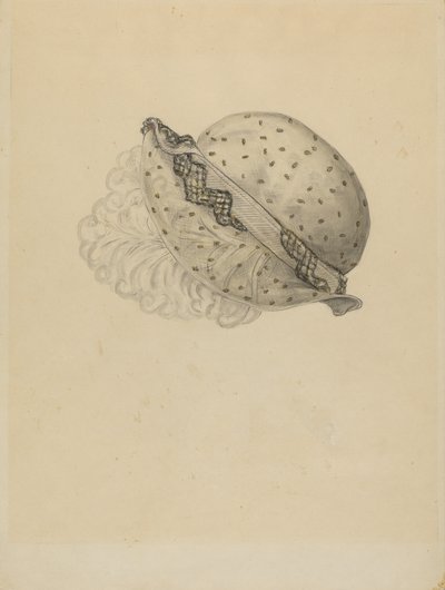 İmparatorluk Bonnet by Melita Hofmann