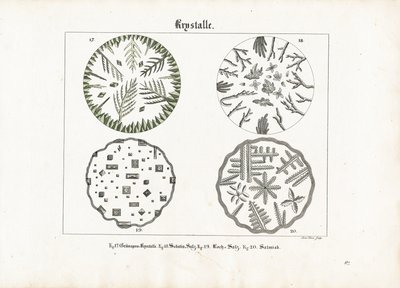 Çeşitli tuzların kristal formları by Meno Haas