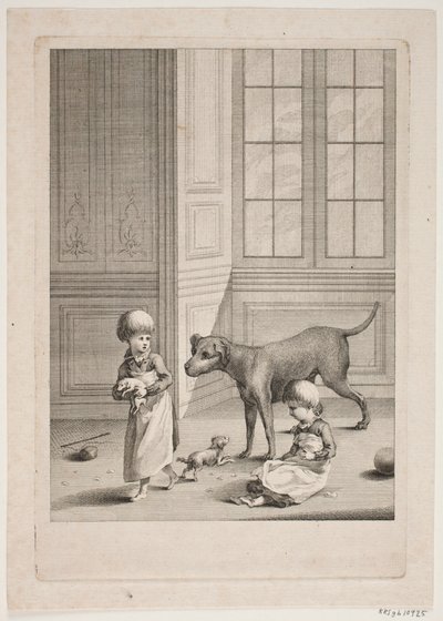Veliaht Prens Frederik
