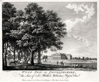 Wynn, Denbighshire