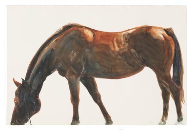 İsimsiz, 2018 (kağıt üzeri suluboya) by Michael Frith