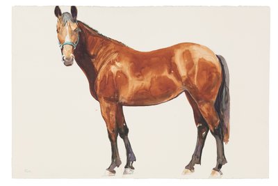İsimsiz, 2018 (kağıt üzeri suluboya) by Michael Frith