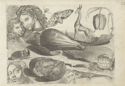 Çizim örnekleri içeren çalışma sayfası: kafalar, hayvanlar ve meyveler Çizim örnekleri (seri başlığı) by Michael Snijders