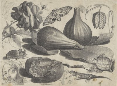 Çizim örnekleri içeren çalışma sayfası: kafalar, hayvanlar ve meyveler Çizim örnekleri (seri başlığı) by Michael Snijders